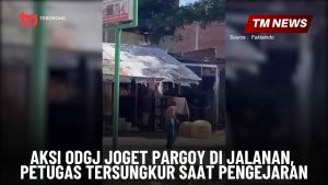 Aksi ODGJ Joget Pargoy di Jalanan, Petugas Tersung-Cover