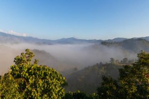 Gunung Jayawijaya