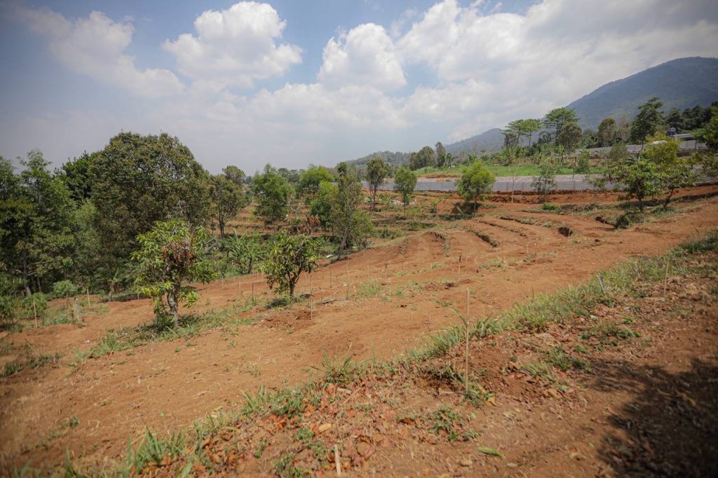 Pemkot Bandung Bakal Tanam 3.000 Pohon