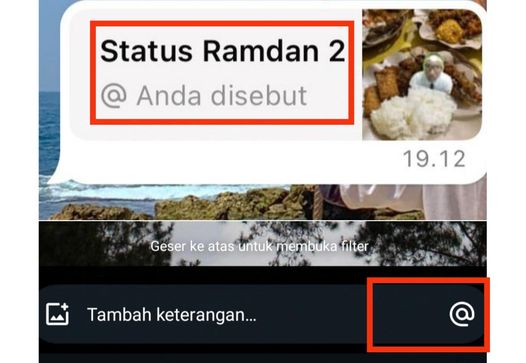 Mention WhatsApp Status