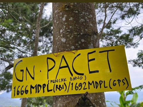 Fakta gunung pacet