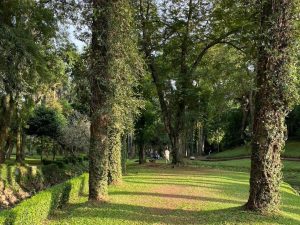 Trek Joging di Jakarta