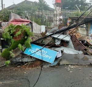 Pohon Besar Tumbang Menimpa Beberapa Bangunan di Ciumbuleuit Bandung 