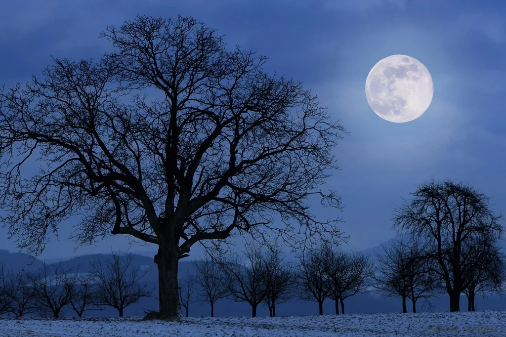 cold moon