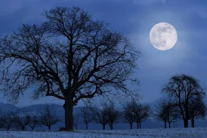 cold moon