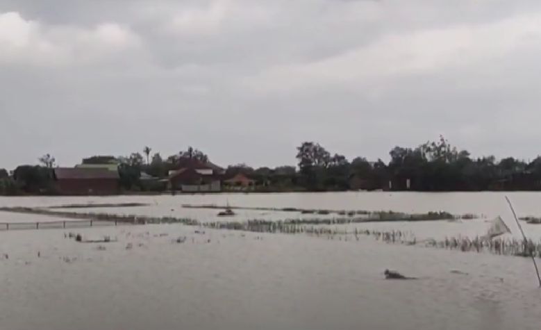 40 Hektar Sawah Kabupaten Tangerang Gagal Panen Kebanjiran