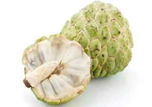 Cara mengolah buah srikaya