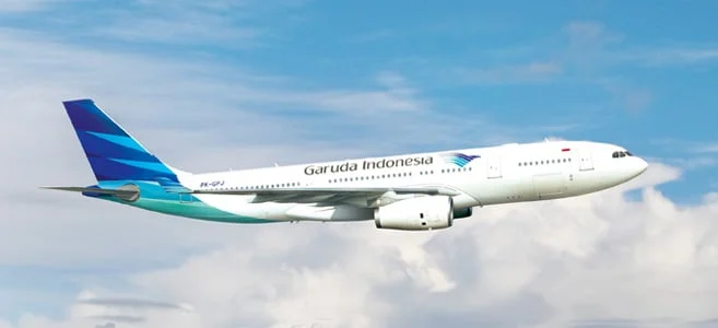 Peleburan Garuda dan Pelita Air