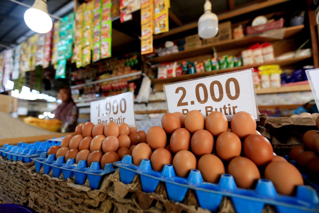 Harga Telur Ayam Dipasaran Naik