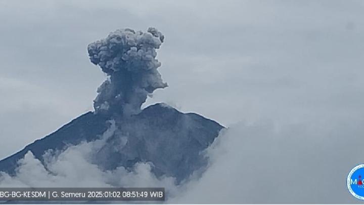 gunung semeru erupsi-1