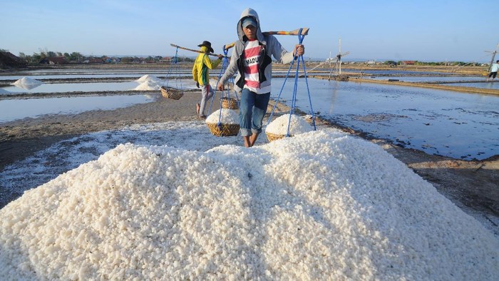 Industri Garam Terancam Krisis