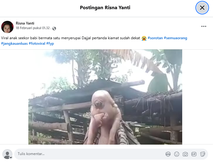 Babi Bermata Satu