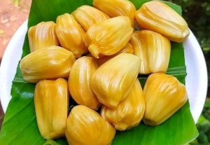 Resep buah nangka