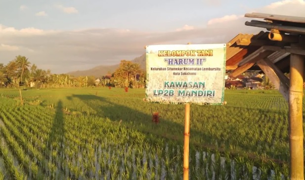 Lahan pertanian di Kecamatan Cibeureum Kota Sukabumi