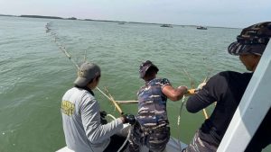 Bongkar Pagar Laut Bekasi Nelayan Dapat Upah