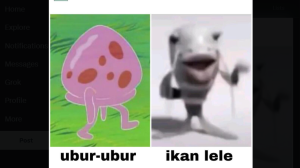 Ubur-ubur Ikan Lele