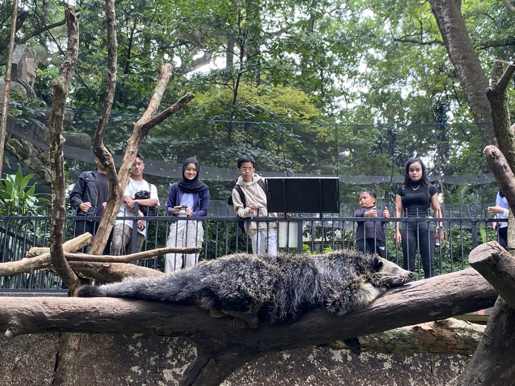 Rencana Pemkot Ganti Pihak Pengelola Kebun Binatang Bandung