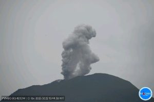 Gunung Ibu Lontarkan Abu Vulkanik