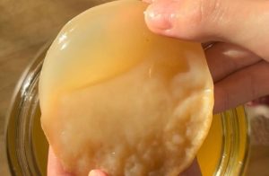 manfaat scoby