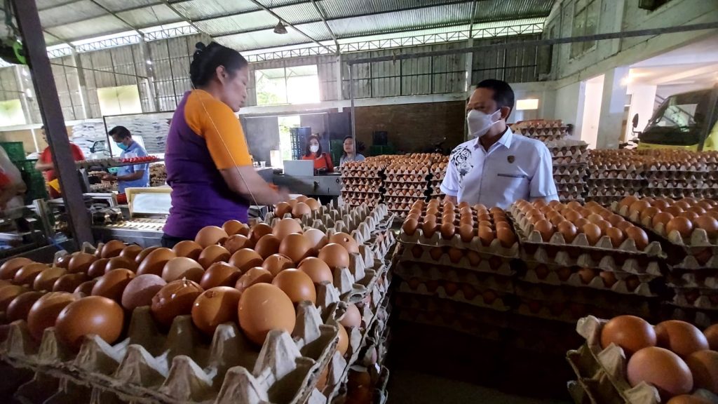 Produksi Telur Indonesia Melimpah, Apakah Harga Tetap Stabil?