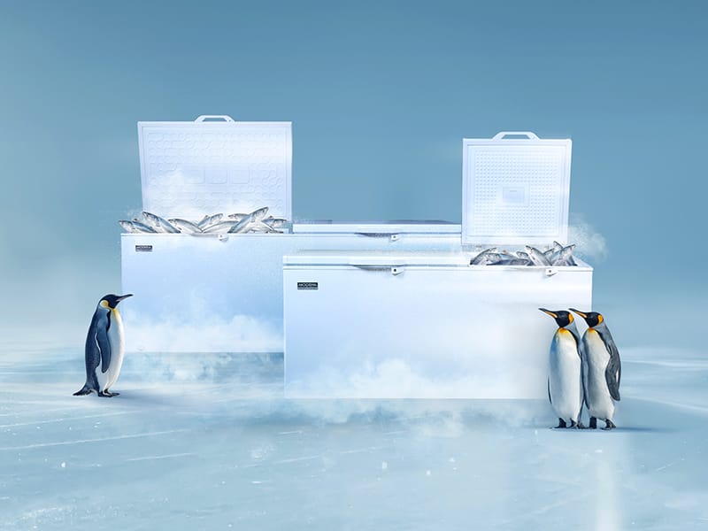 MODENA Perkenalkan Chest Freezer Terbaru