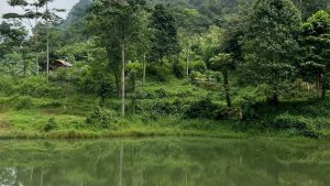 Surga Tersembunyi di Sentul