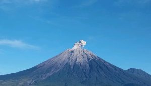 Gunung Semeru Kembali Erupsi, Kolom Abu Teramati 500 Meter dari Puncak