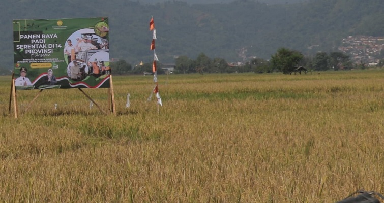 panen raya kabupaten bandung