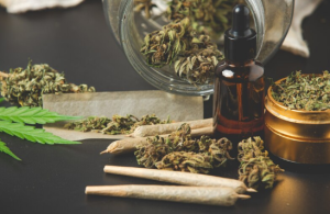 Ganja