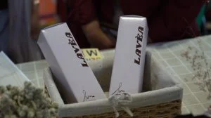 Mahasiswa Polije
