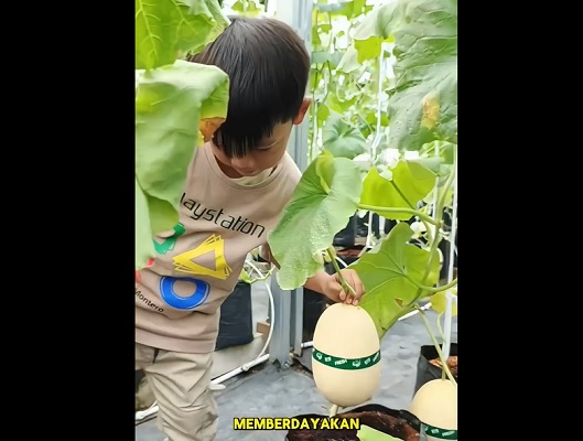 Melonesia Bekasi Instagram Rumah Zakat Bekasi