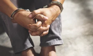 Peran tersangka fantasi sedarah