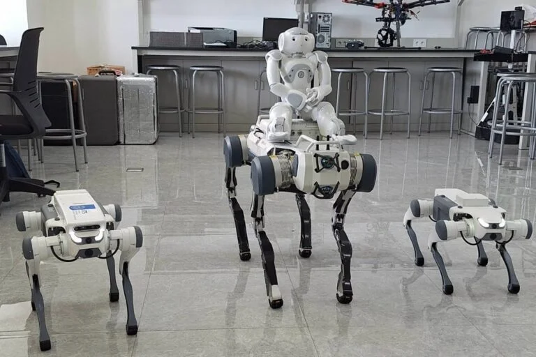 Robot Anjing