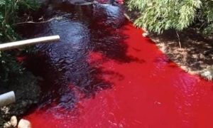Sungai merah Silayar Cirebon merah - FB Khodirz