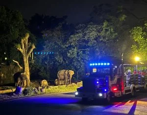 Taman Safari Bogor
