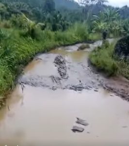 Miris, Kondisi Jalur Cipatujah Lebih Mirip Jalur Offroad dan Kubangan Kerbau