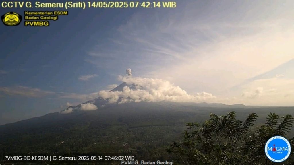 Gunung Semeru Erupsi, Kolom Abu 1 Km, Warga Dilarang Aktivitas Radius 8 Km