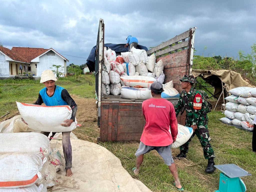 BULOG Cirebon Realisasikan Penyerapan Gabah Beras Terbesar Nasional