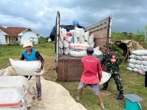 BULOG Cirebon Realisasikan Penyerapan Gabah Beras Terbesar Nasional