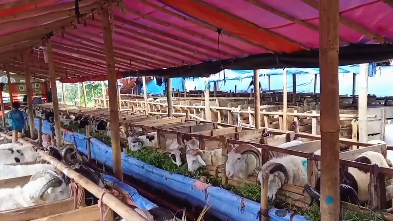 Jelang Idul Adha, Penjual Kurban Musiman Mulai Ramai di Kota Bandung