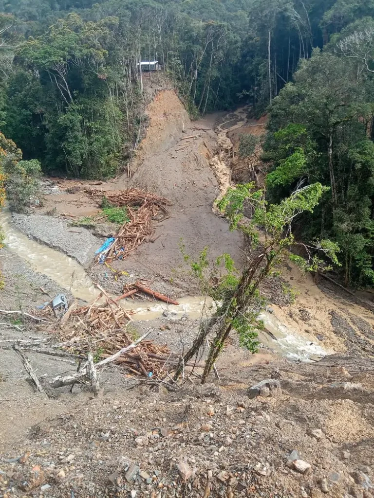 15 Korban Banjir Bandang Pegunungan Arfak Ditemukan Meninggal, 4 Masih Hilang