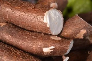 Impor Singkong