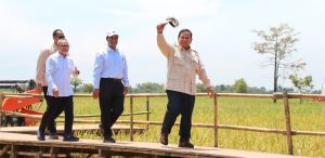 Produksi Beras Indonesia