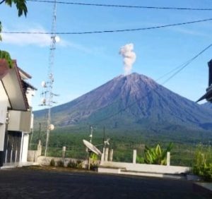 Gunung Semeru Erupsi, Warga Dilarang Beraktivias Sepanjang Besuk Kobokan