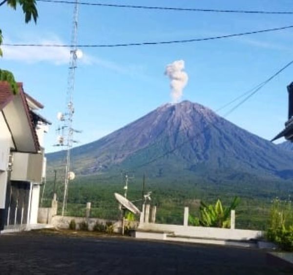 Gunung Semeru Erupsi, Warga Dilarang Beraktivias Sepanjang Besuk Kobokan