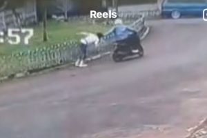 ibu didiet dijambret