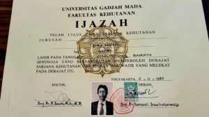 ijazah jokowi (2)