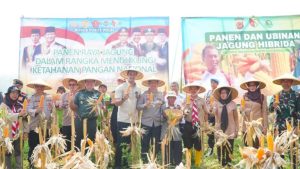 Dukung Ketahanan Pangan, Polresta Bandung Gelar Panen Raya Jagung