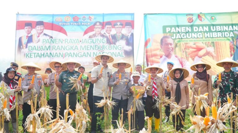 Dukung Ketahanan Pangan, Polresta Bandung Gelar Panen Raya Jagung