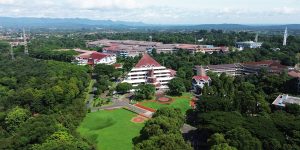 jalur ketua osis IPB